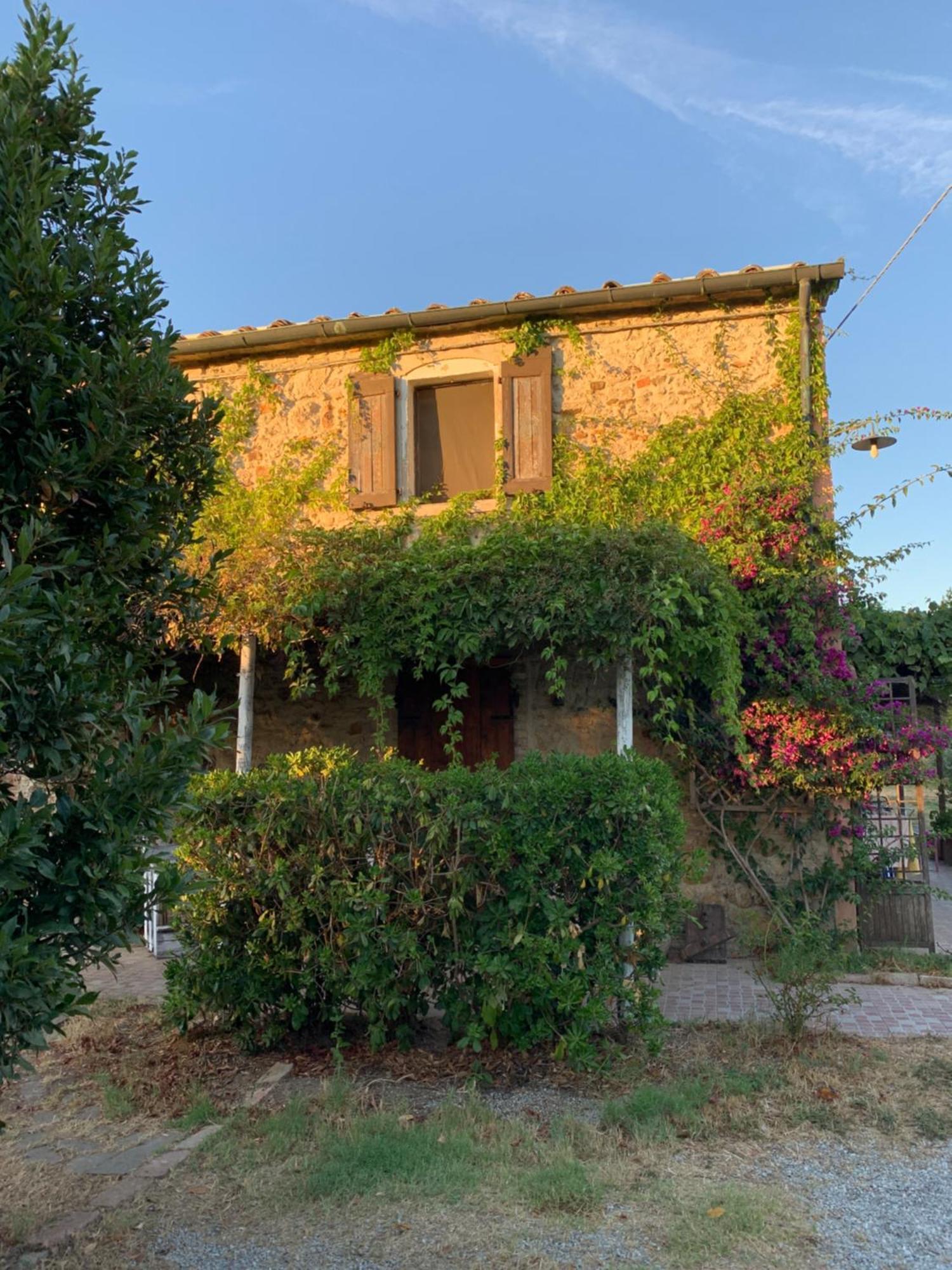 Podere Girasoli Piombino Bagian luar foto