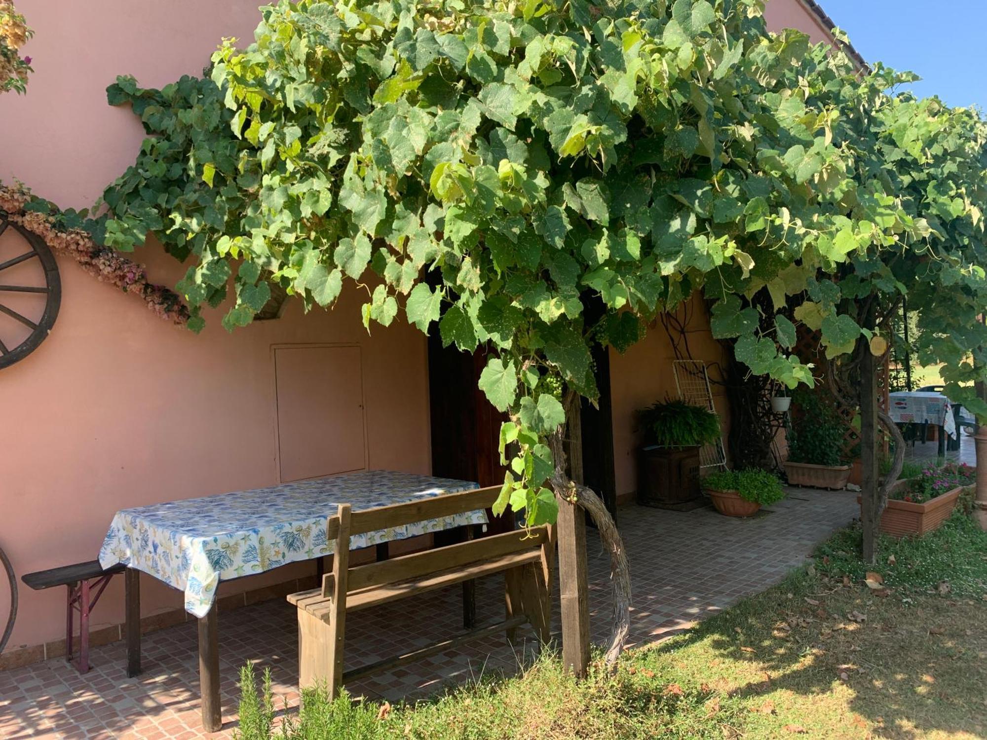 Podere Girasoli Piombino Bagian luar foto